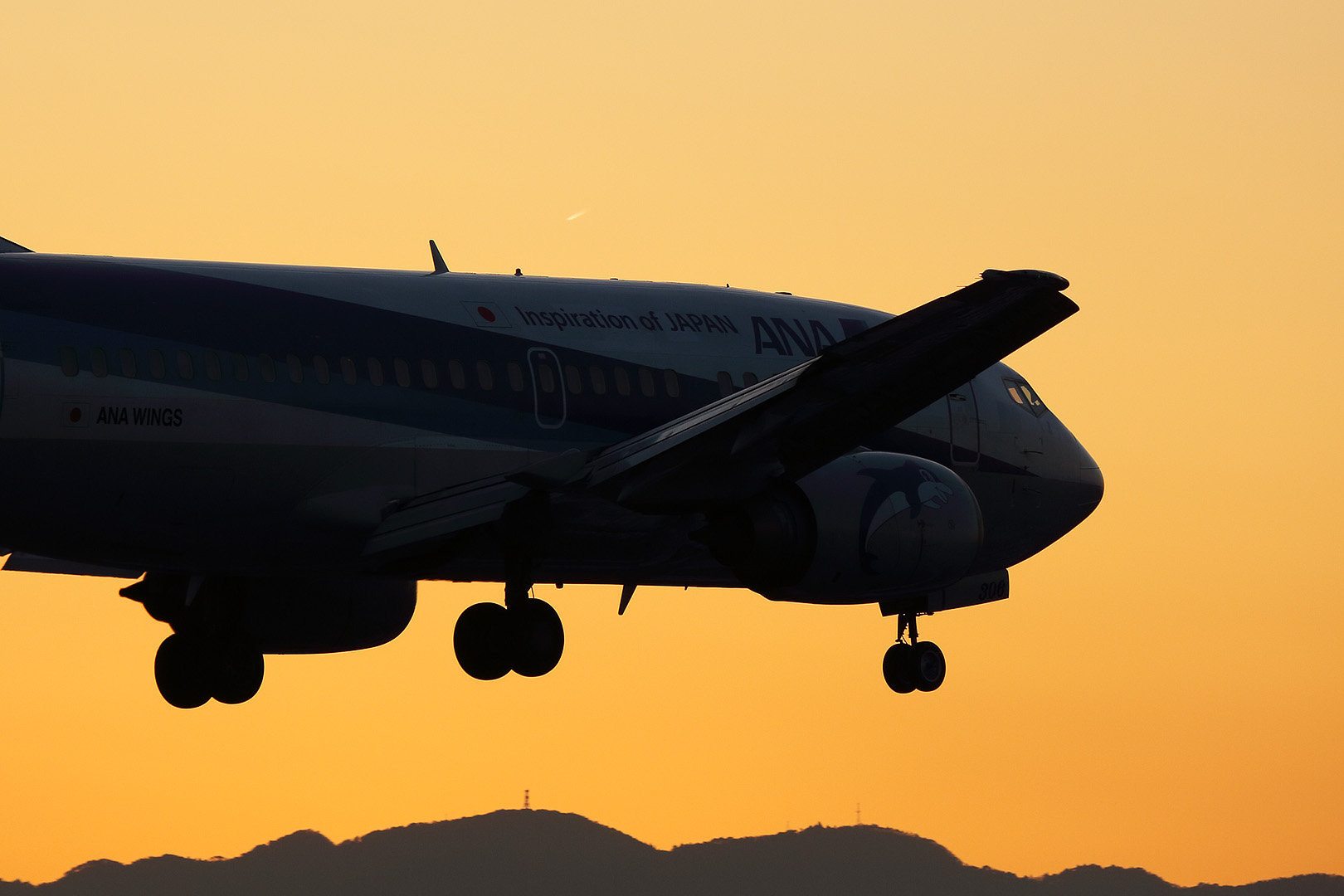 飛行機（千里川）_a0003166_162883.jpg