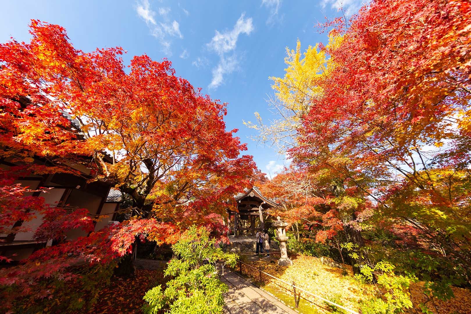 常寂光寺 紅葉 その１_a0003166_16310447.jpg