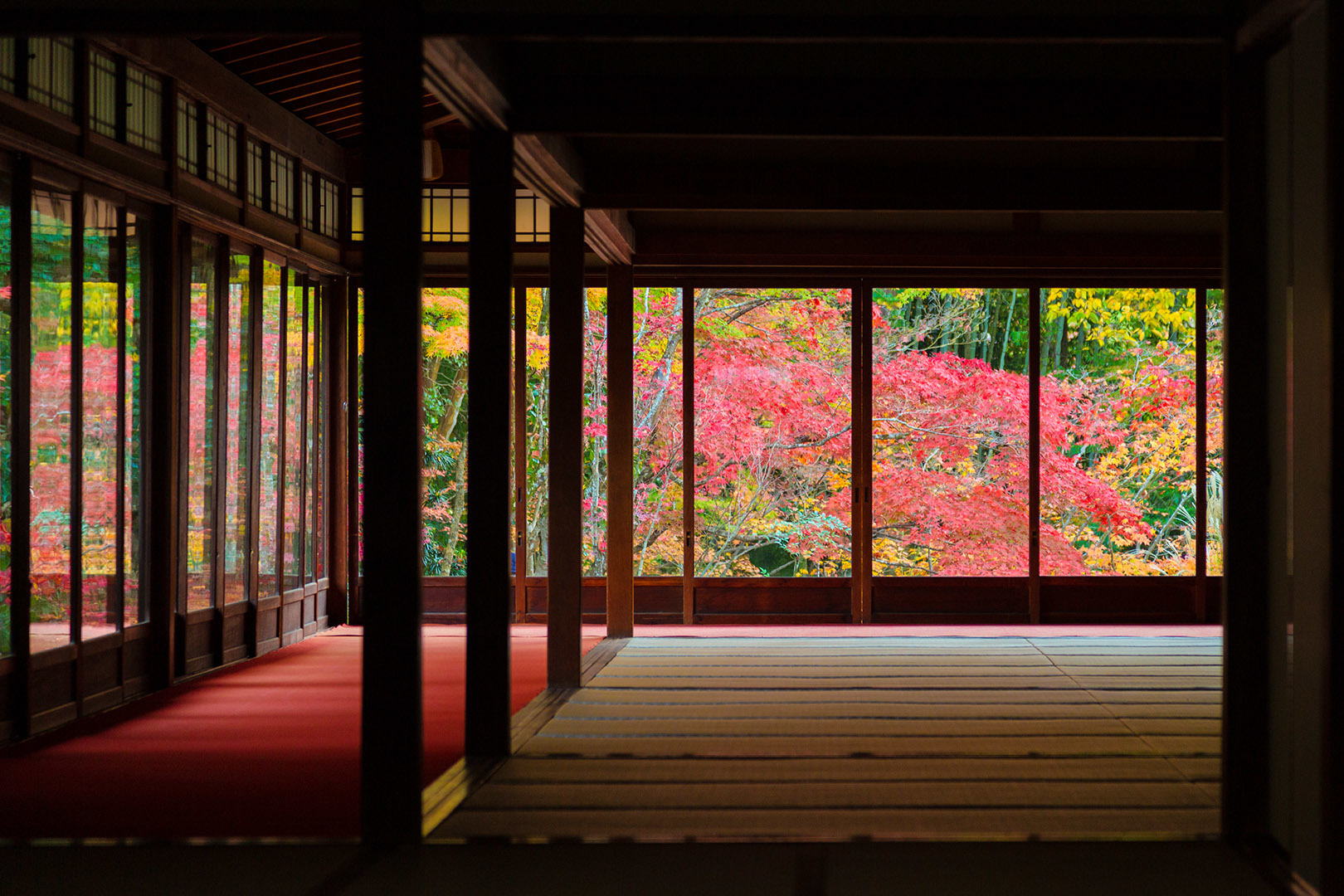 南禅寺 紅葉_a0003166_16322511.jpg
