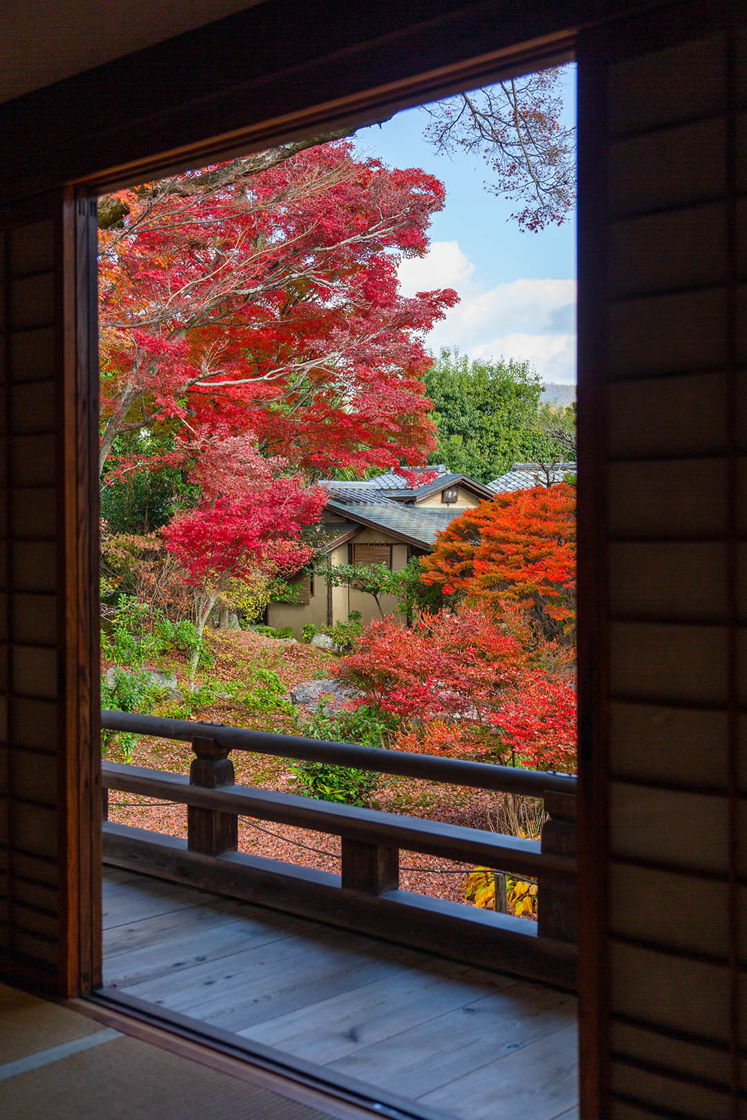 宝筐院 紅葉_a0003166_16354078.jpg
