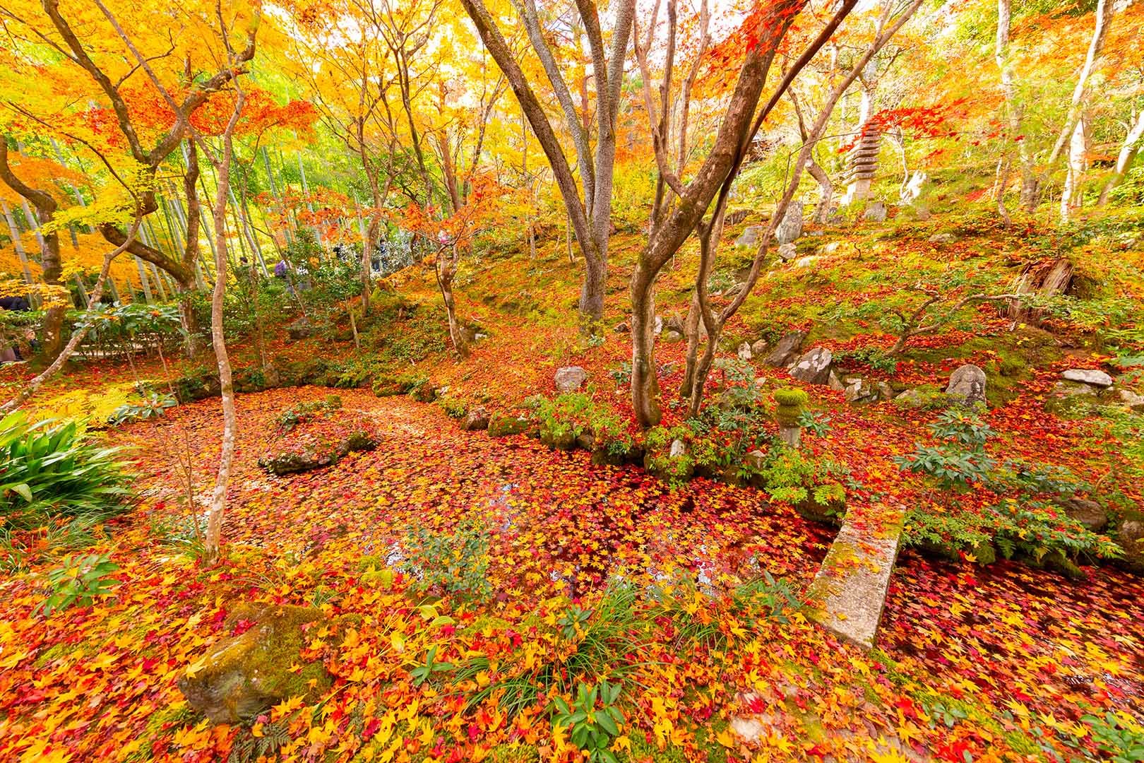 常寂光寺 紅葉 その２_a0003166_16364344.jpg