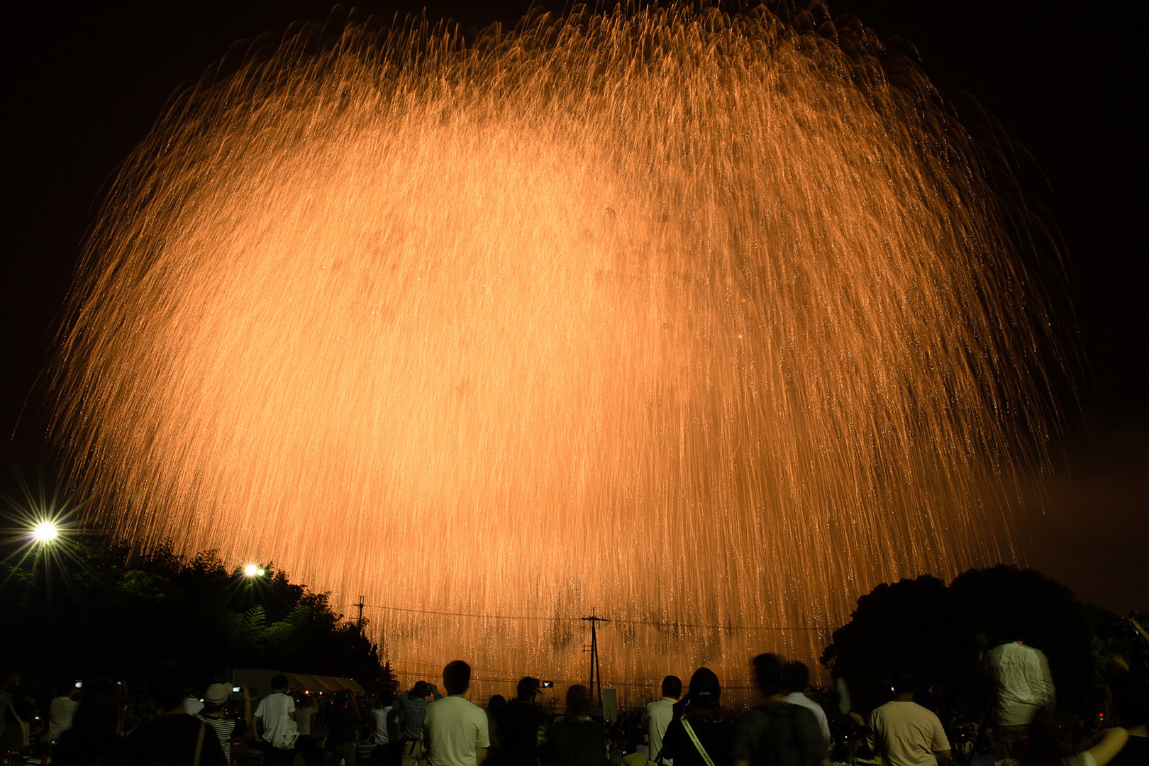 ＰＬ花火芸術_a0003166_16420058.jpg