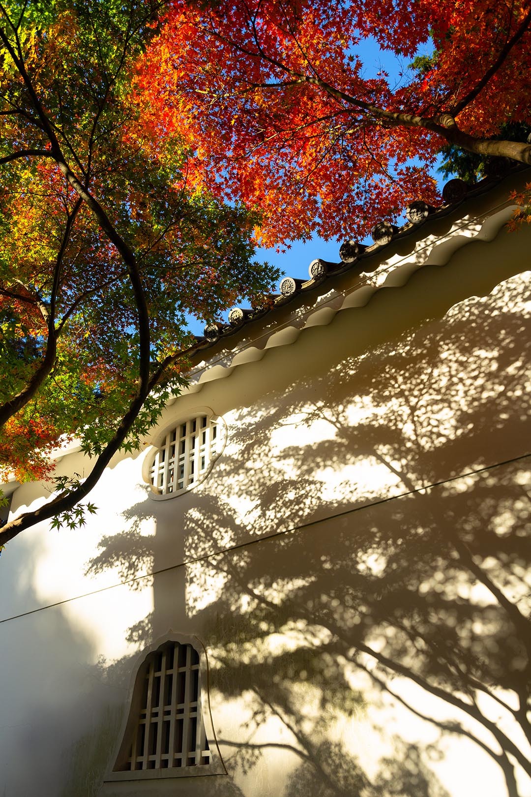 真如堂 紅葉_a0003166_16433512.jpg