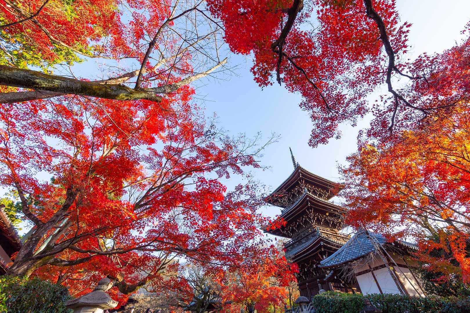 真如堂 紅葉_a0003166_16433521.jpg