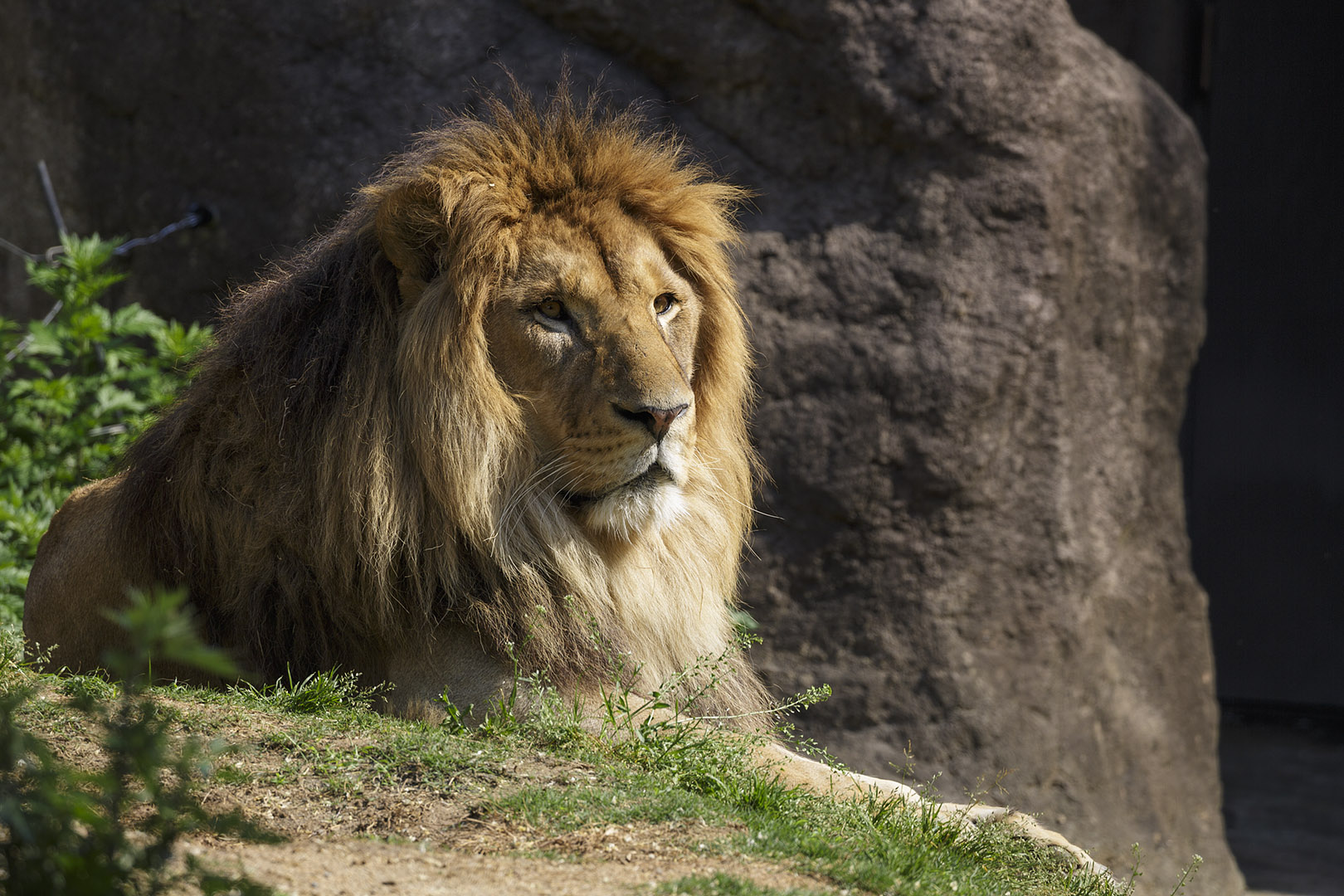 天王寺動物園_a0003166_16435670.jpg