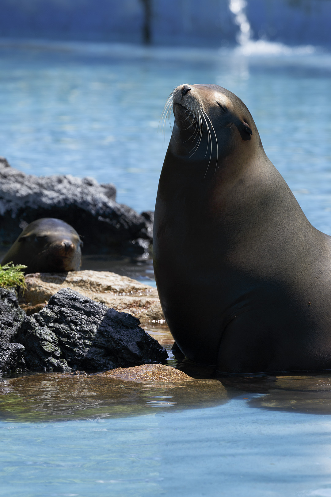 天王寺動物園_a0003166_16435830.jpg