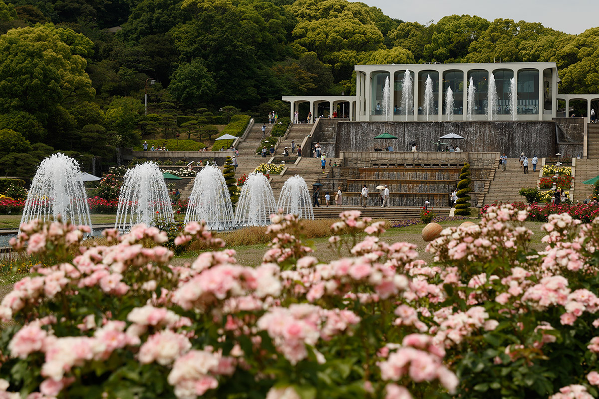 須磨離宮公園_a0003166_1647306.jpg