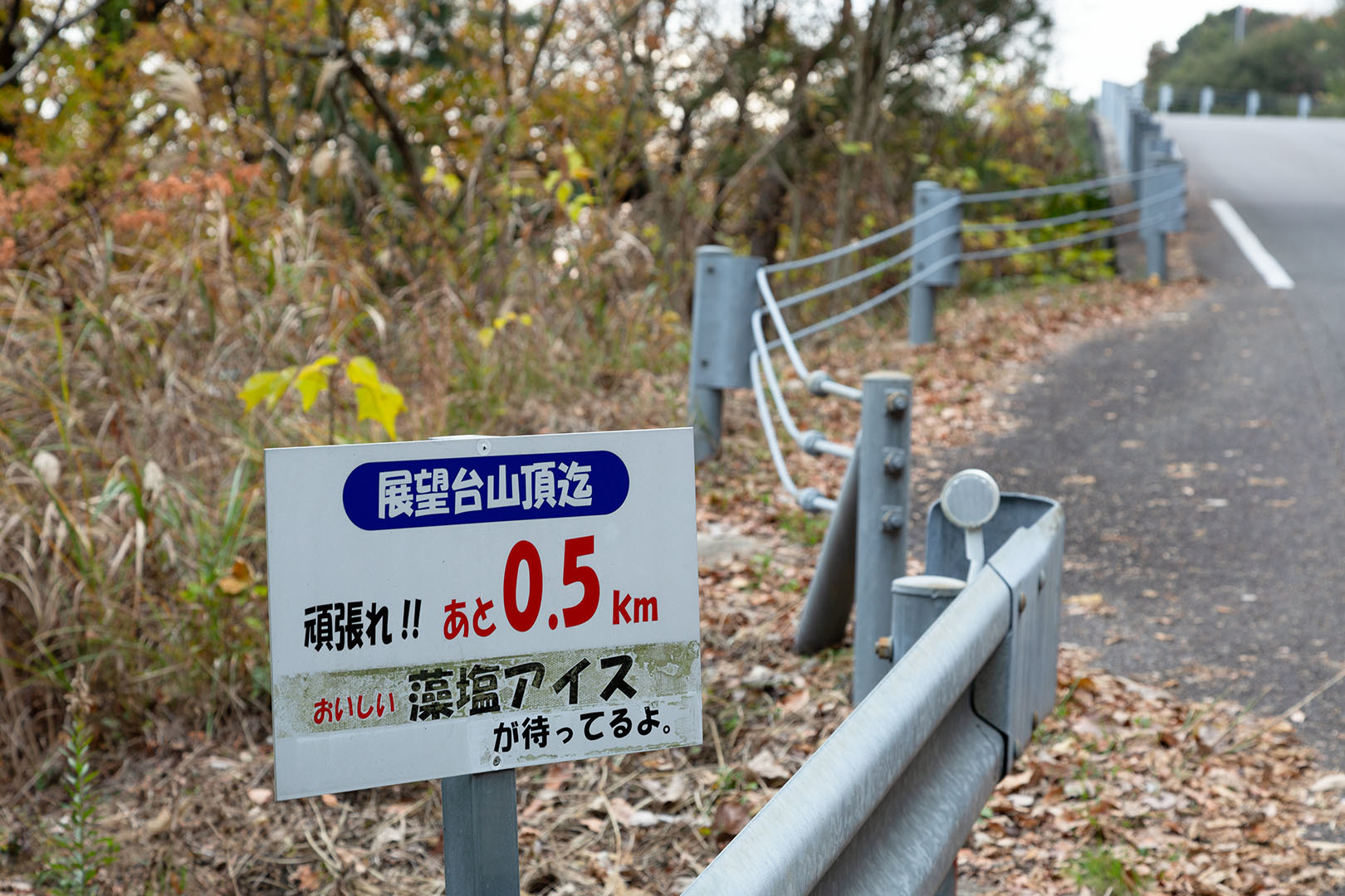 しまなみ海道_a0003166_16494120.jpg