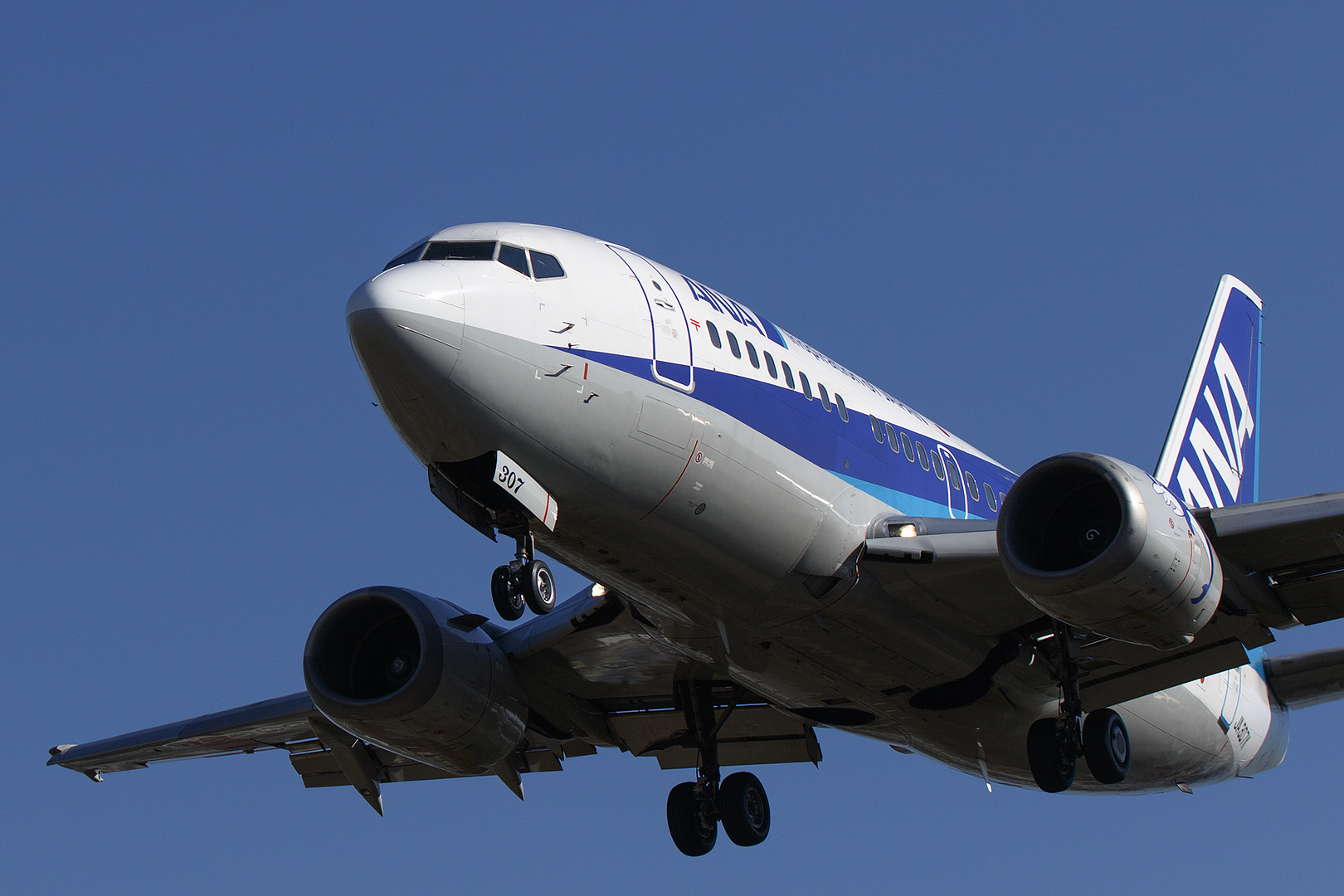 飛行機　（伊丹空港　千里川）_a0003166_16527.jpg