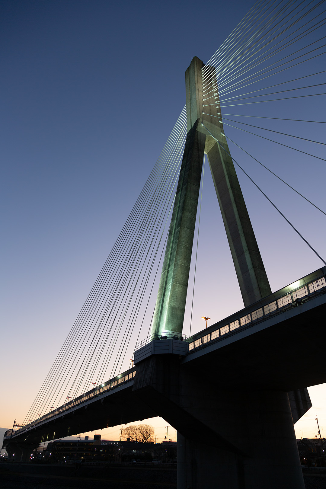 橋_a0003166_16532580.jpg