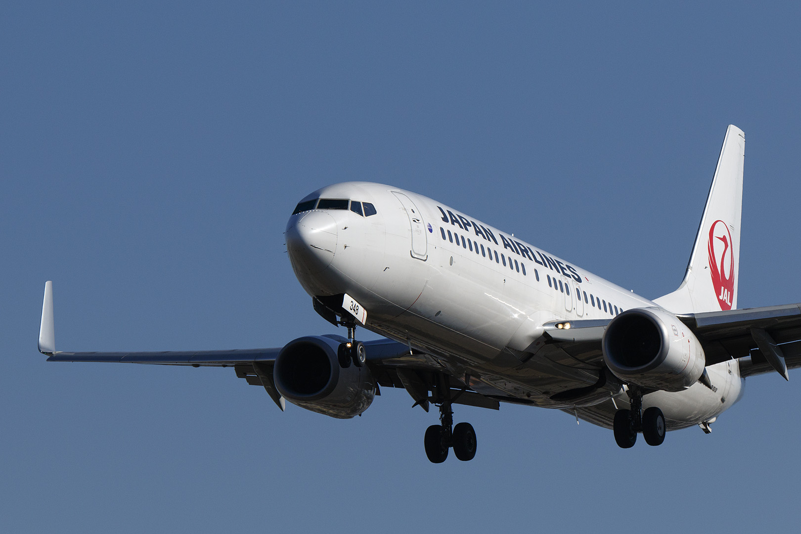 飛行機　（伊丹空港　千里川）_a0003166_165391.jpg