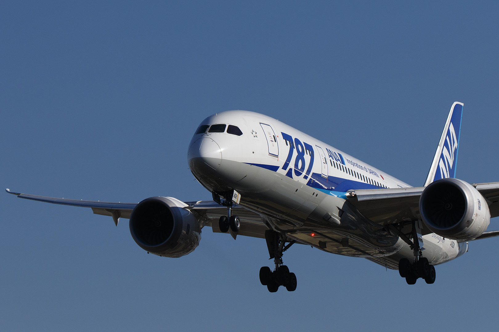 飛行機　（伊丹空港　千里川）_a0003166_165458.jpg