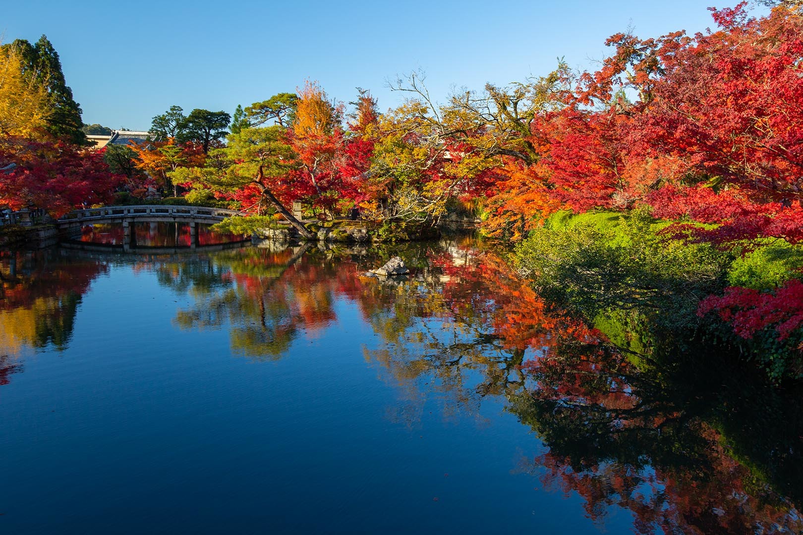 永観堂_a0003166_16551979.jpg