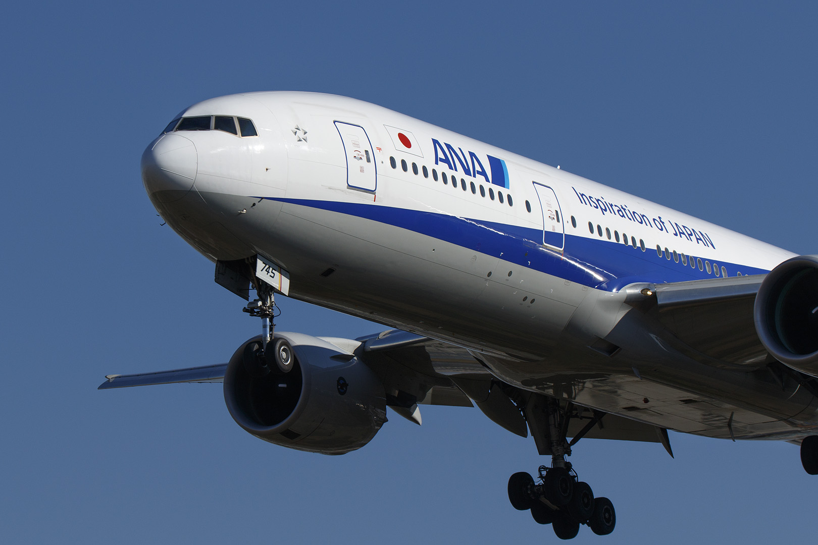 飛行機　（伊丹空港　千里川）_a0003166_165560.jpg