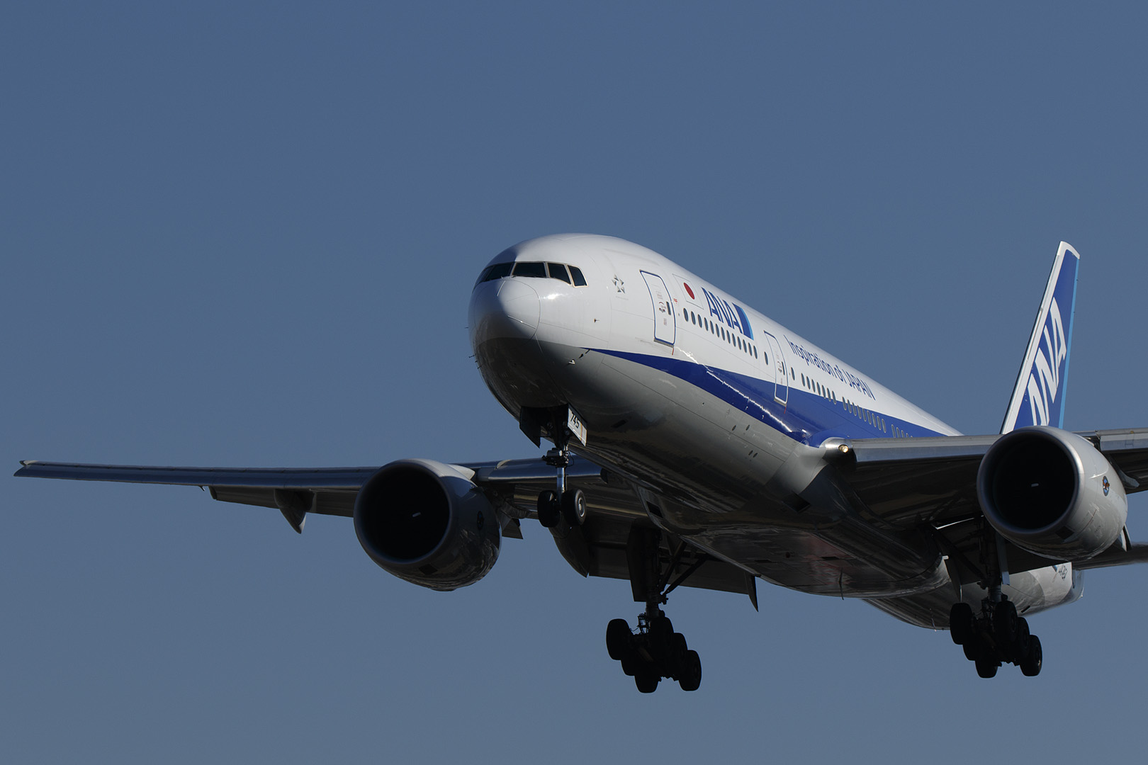 飛行機　（伊丹空港　千里川）_a0003166_165584.jpg