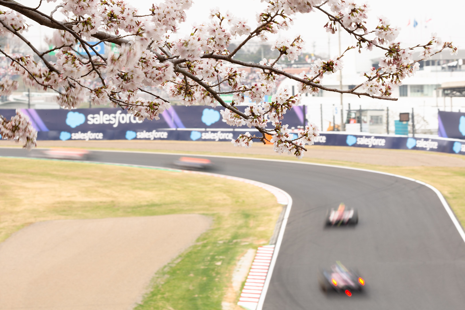 2026 F1 日本グランプリ 日曜_a0003166_16571193.jpg