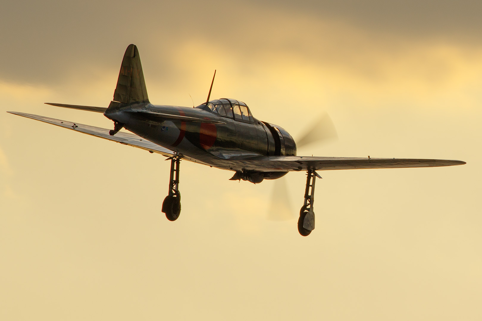 零戦、ＤＣ３、ヘリなど　（レッドブルエアレース）_a0003166_165721.jpg
