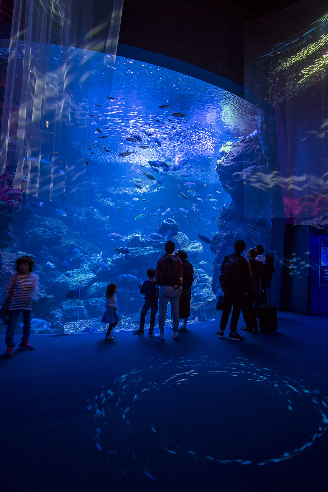 京都水族館_a0003166_16573652.jpg