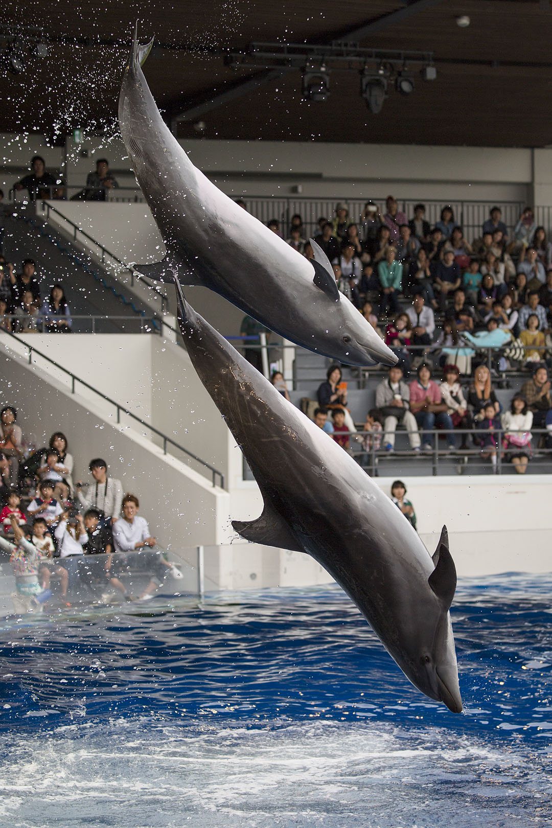 京都水族館_a0003166_16574025.jpg