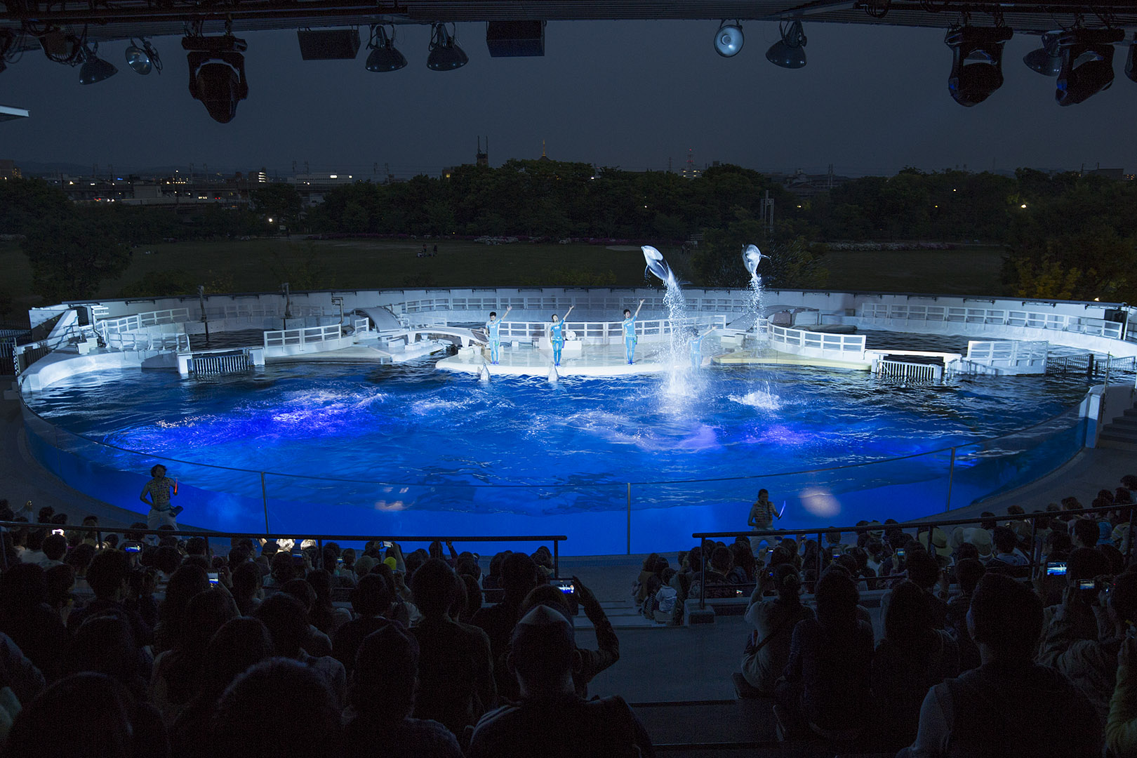 京都水族館_a0003166_16574250.jpg