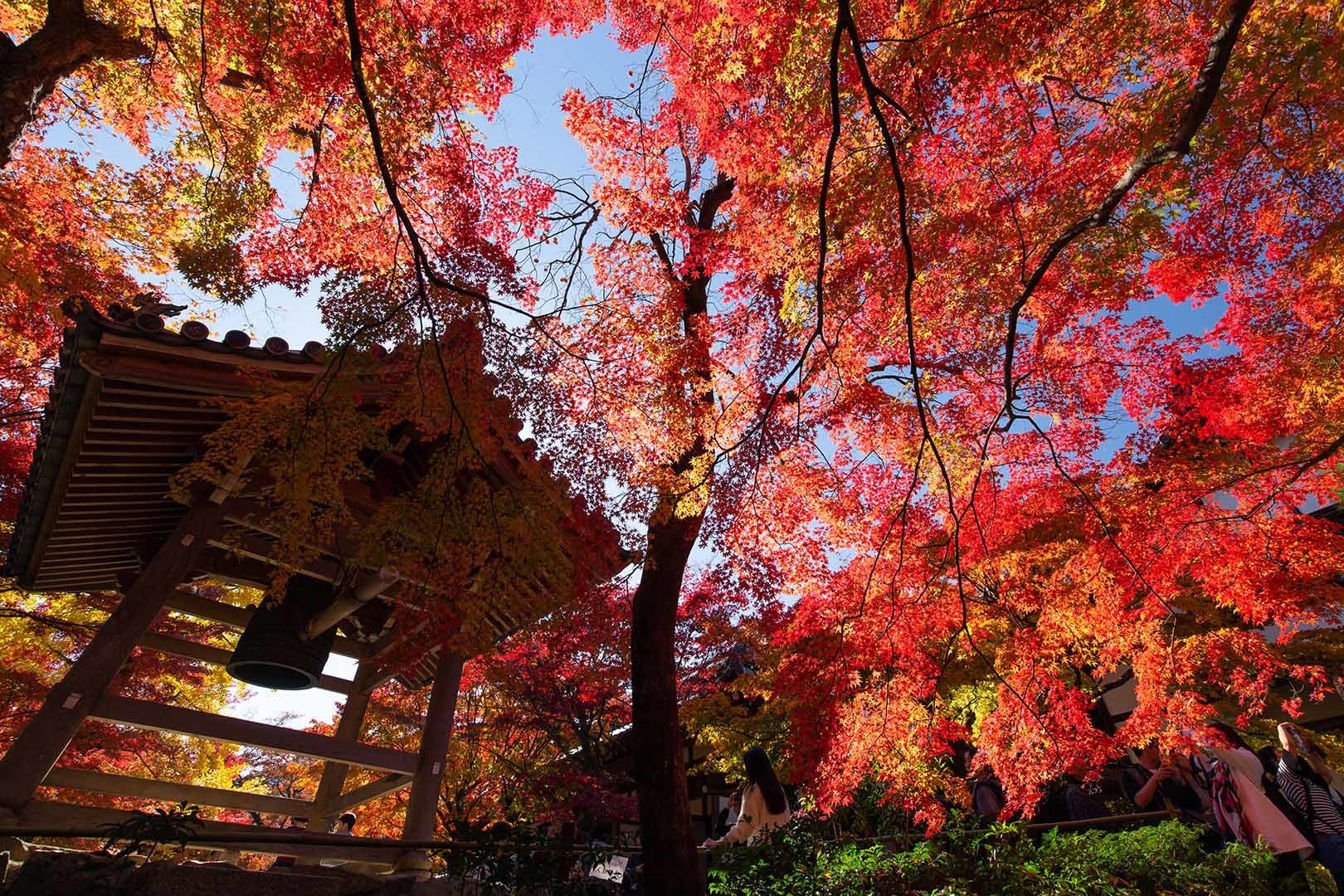 常寂光寺 その１_a0003166_17020226.jpg
