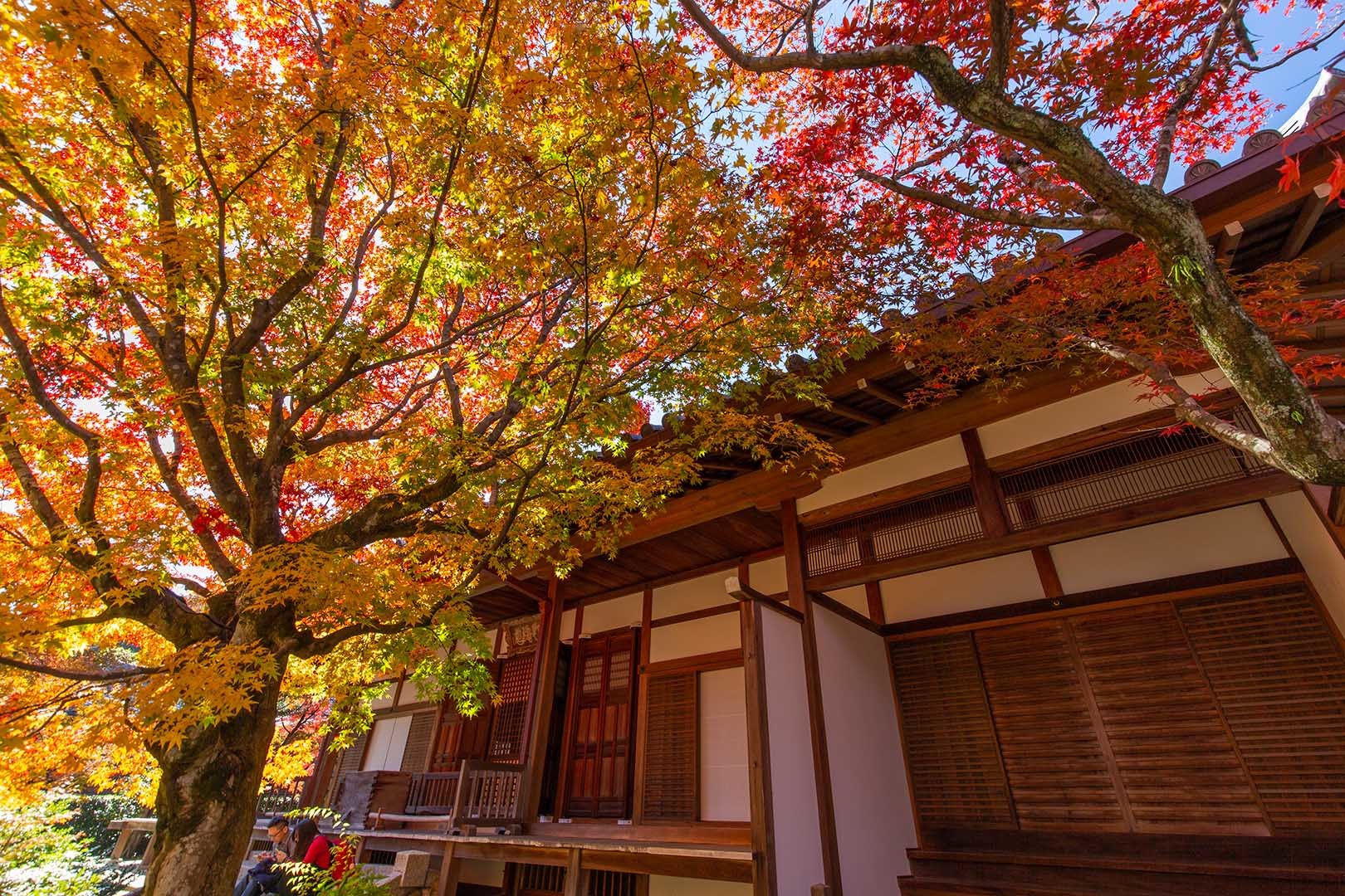 常寂光寺 その２_a0003166_17020862.jpg