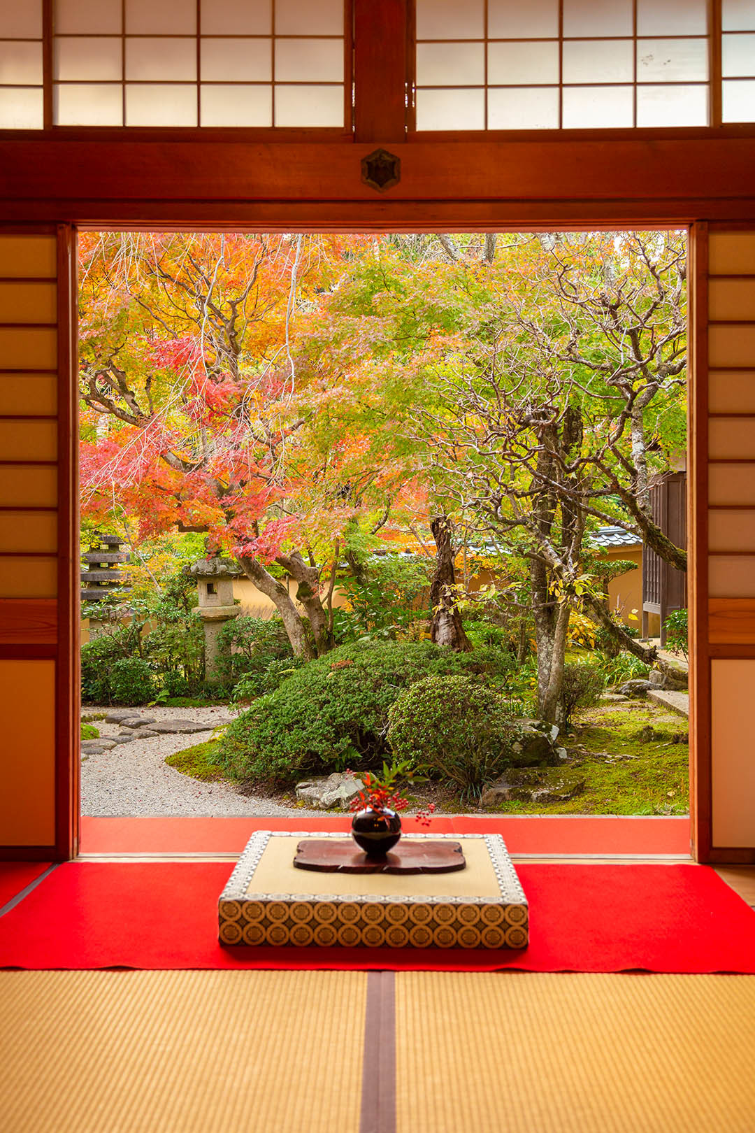 京都 光明寺_a0003166_17030415.jpg