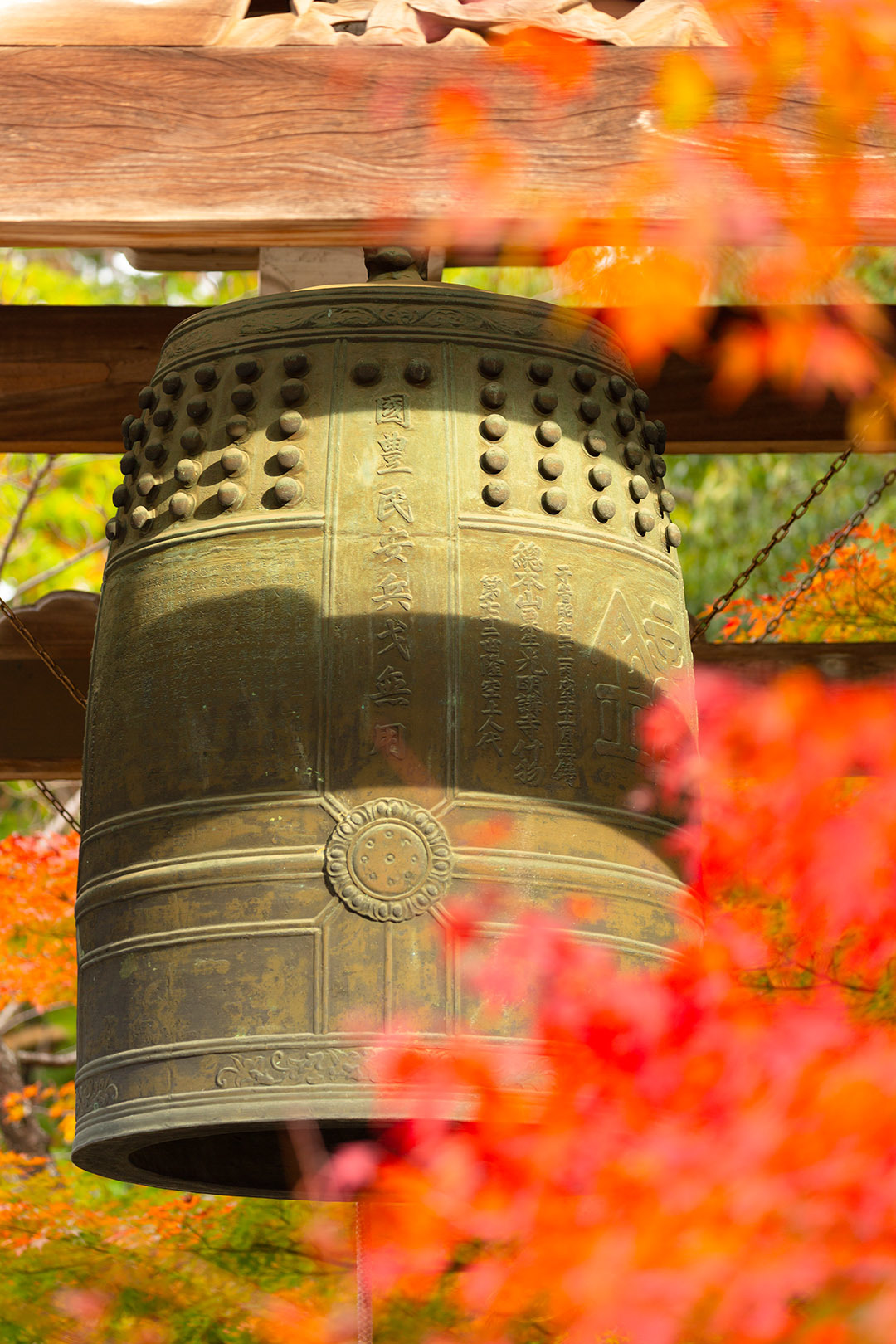 京都 光明寺_a0003166_17030491.jpg
