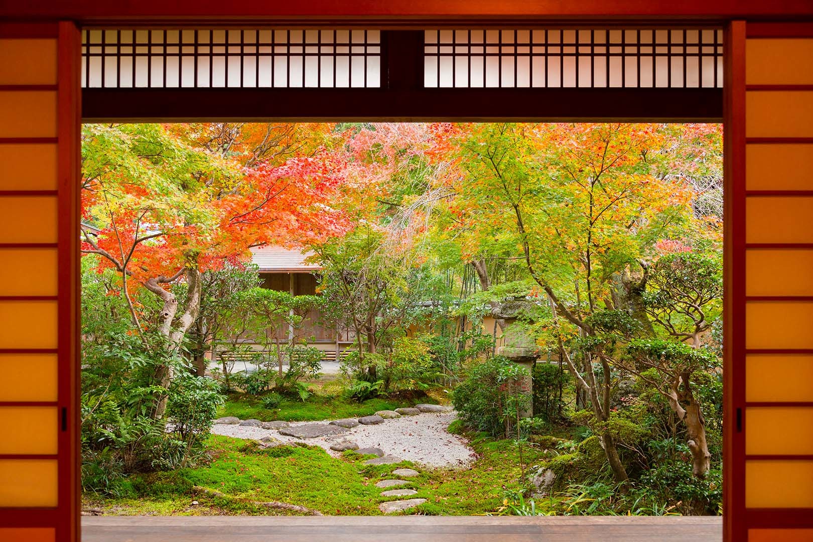 京都 光明寺_a0003166_17030528.jpg