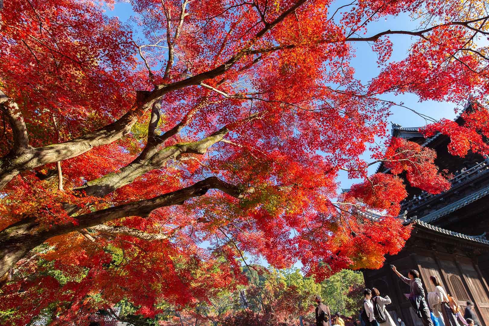 南禅寺_a0003166_17053923.jpg