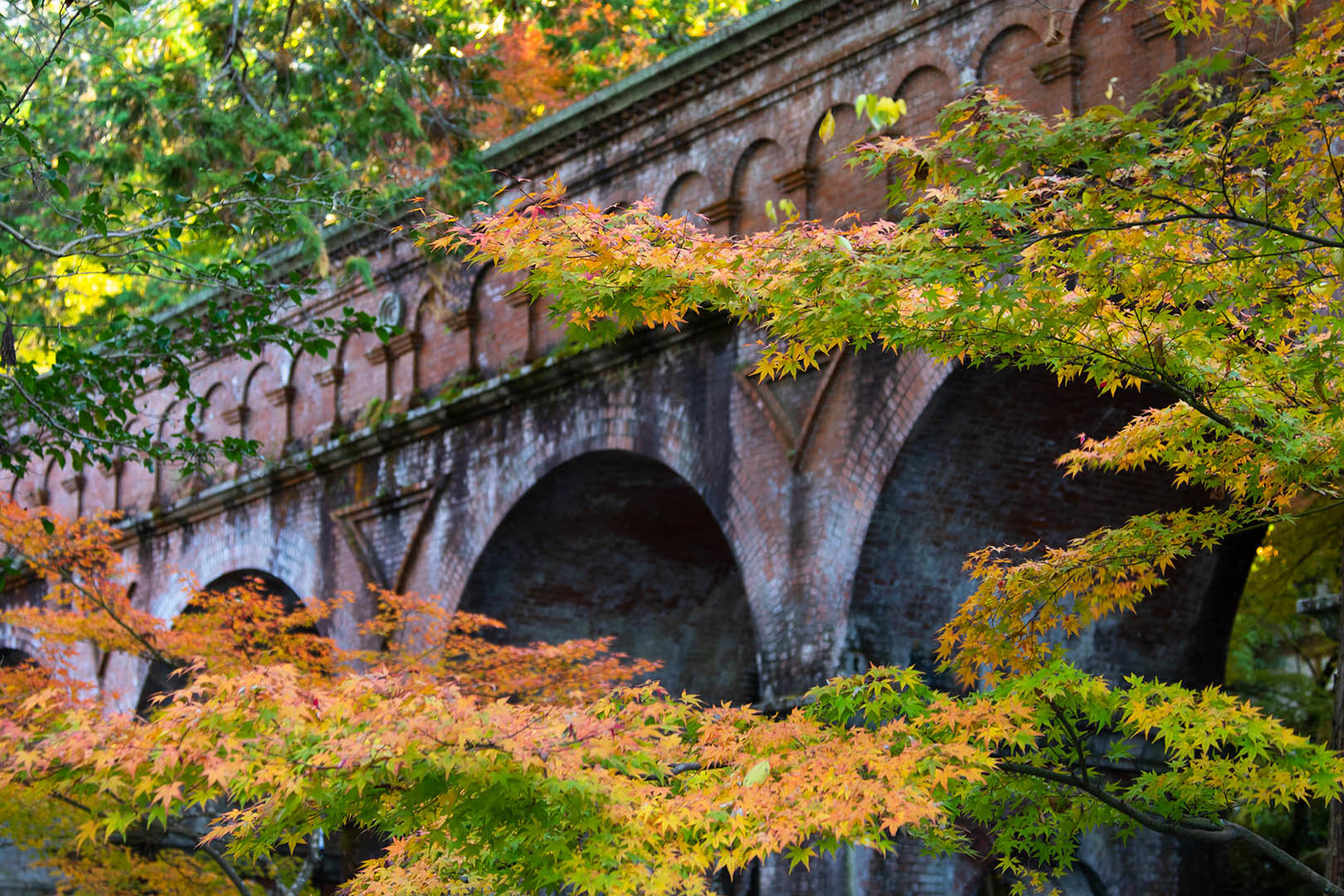 南禅寺_a0003166_17053951.jpg