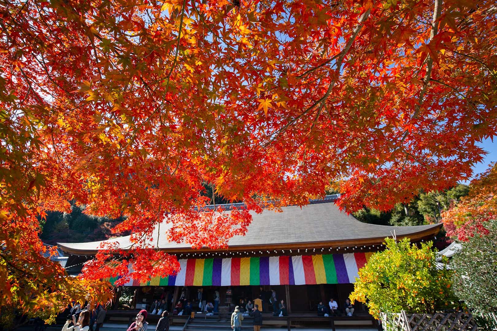二尊院_a0003166_17085824.jpg