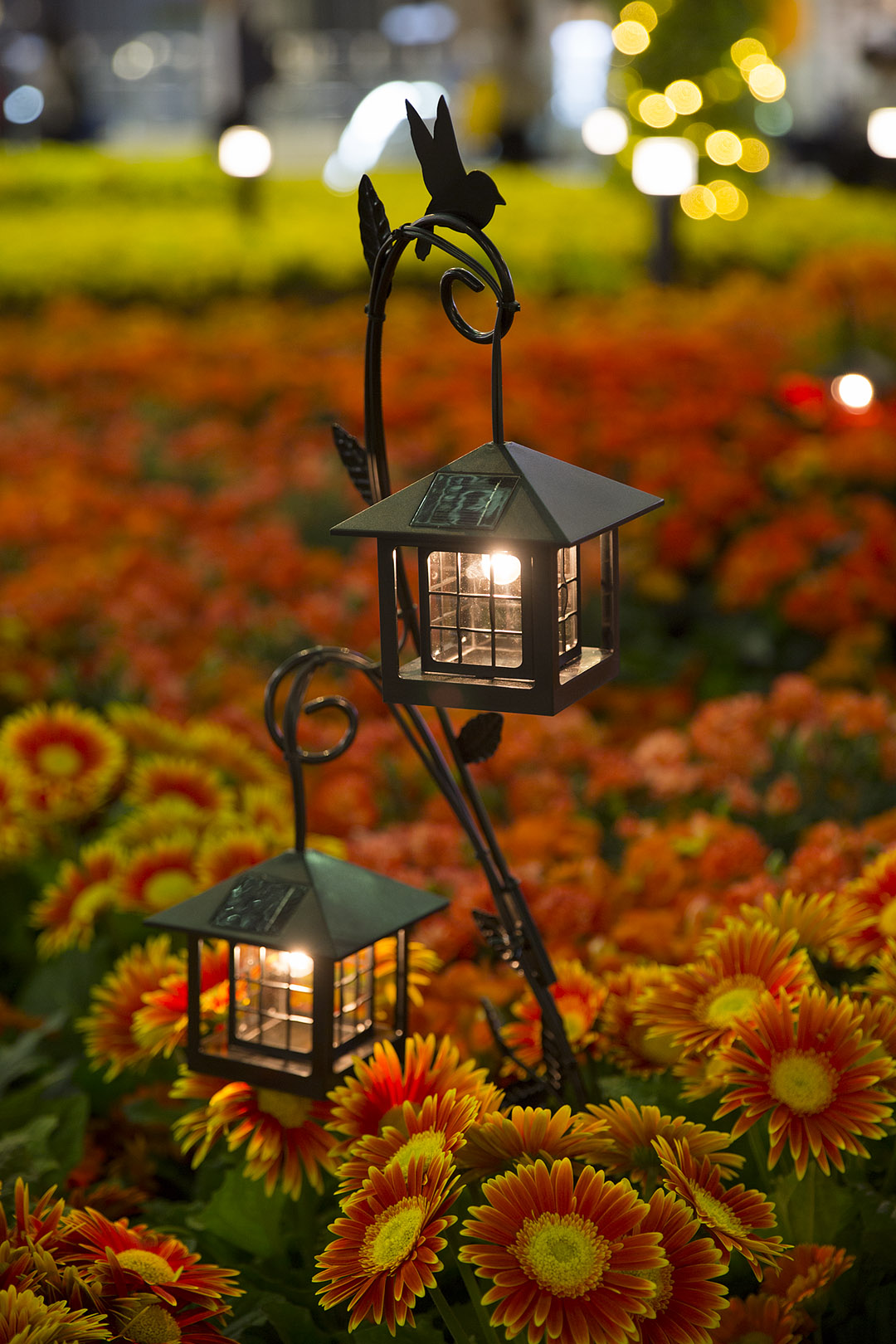 ＪＲ大阪駅 (OSAKA STATION CITY 5th ANNIVERSARY ～WONDER FLOWER GARDEN)_a0003166_17105181.jpg