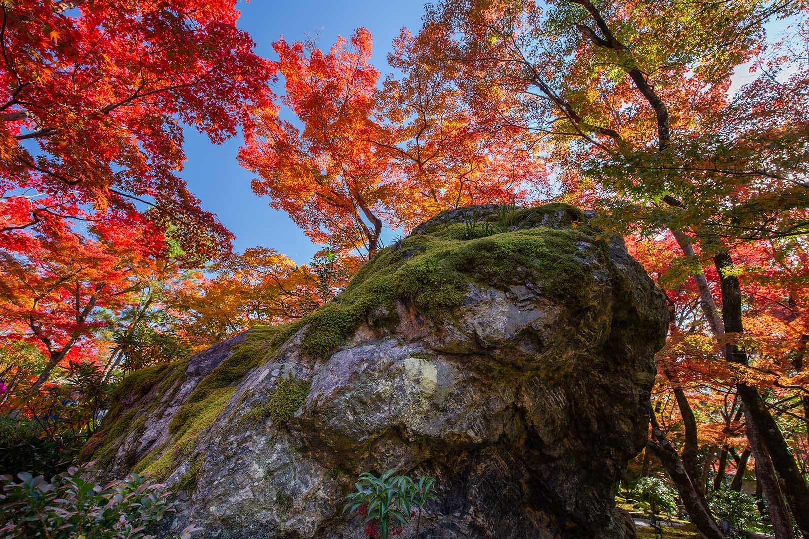 宝厳院_a0003166_17110209.jpg