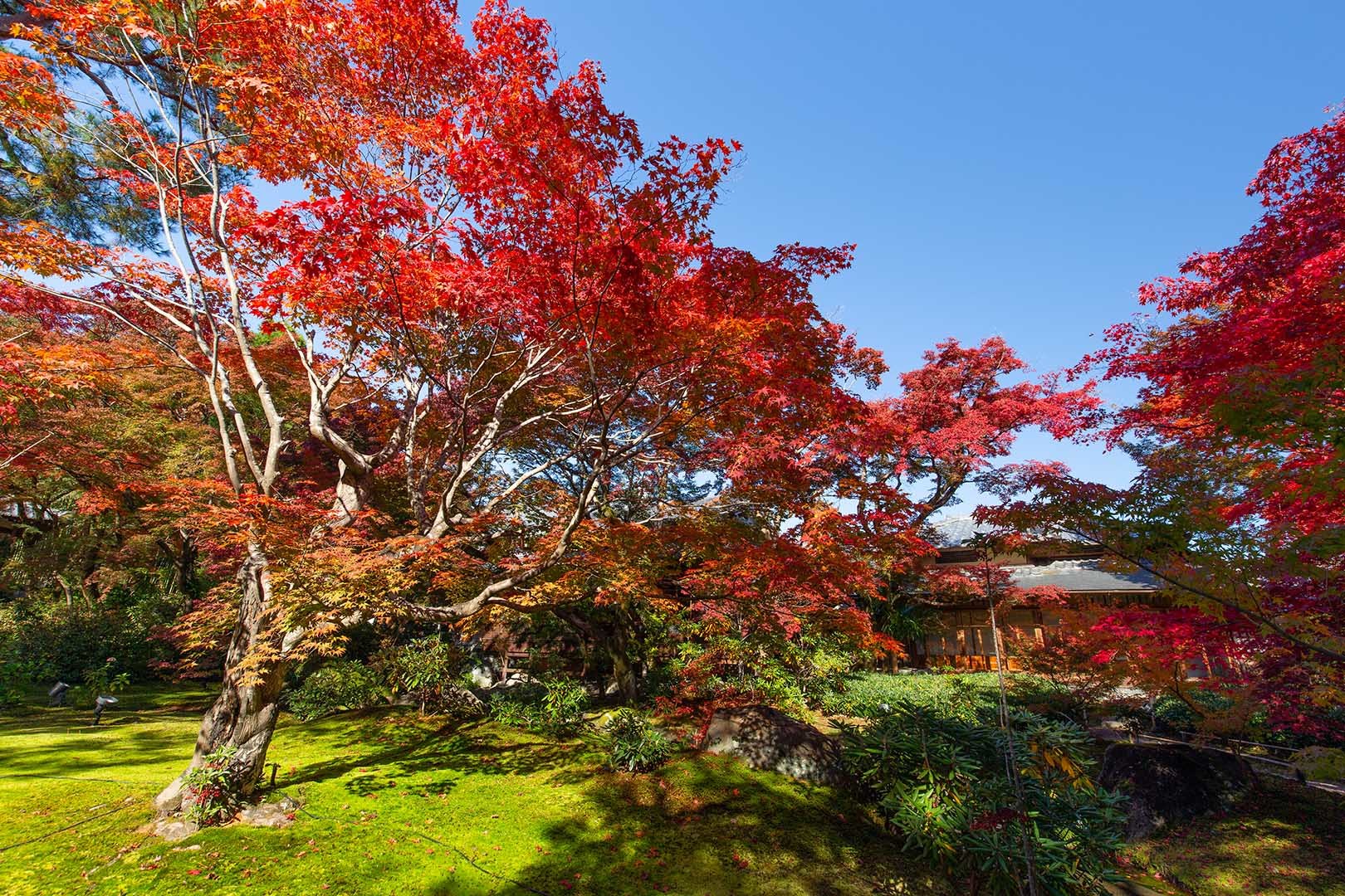 宝厳院_a0003166_17110229.jpg