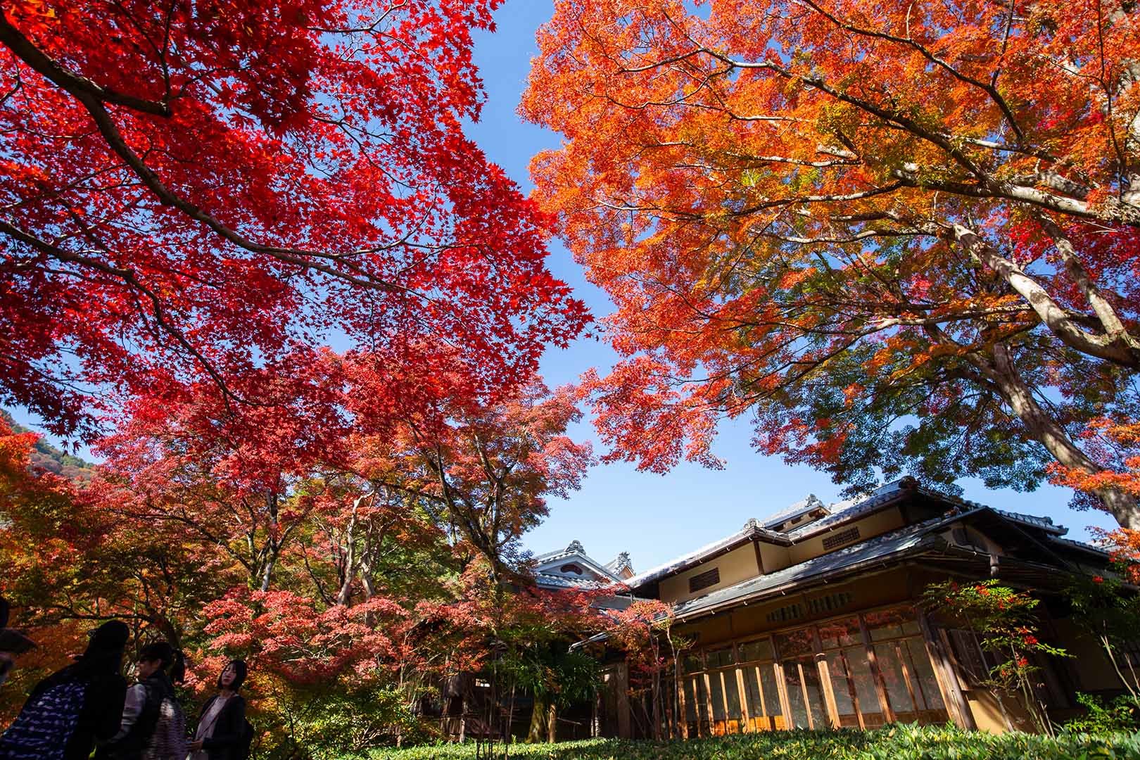 宝厳院_a0003166_17110314.jpg