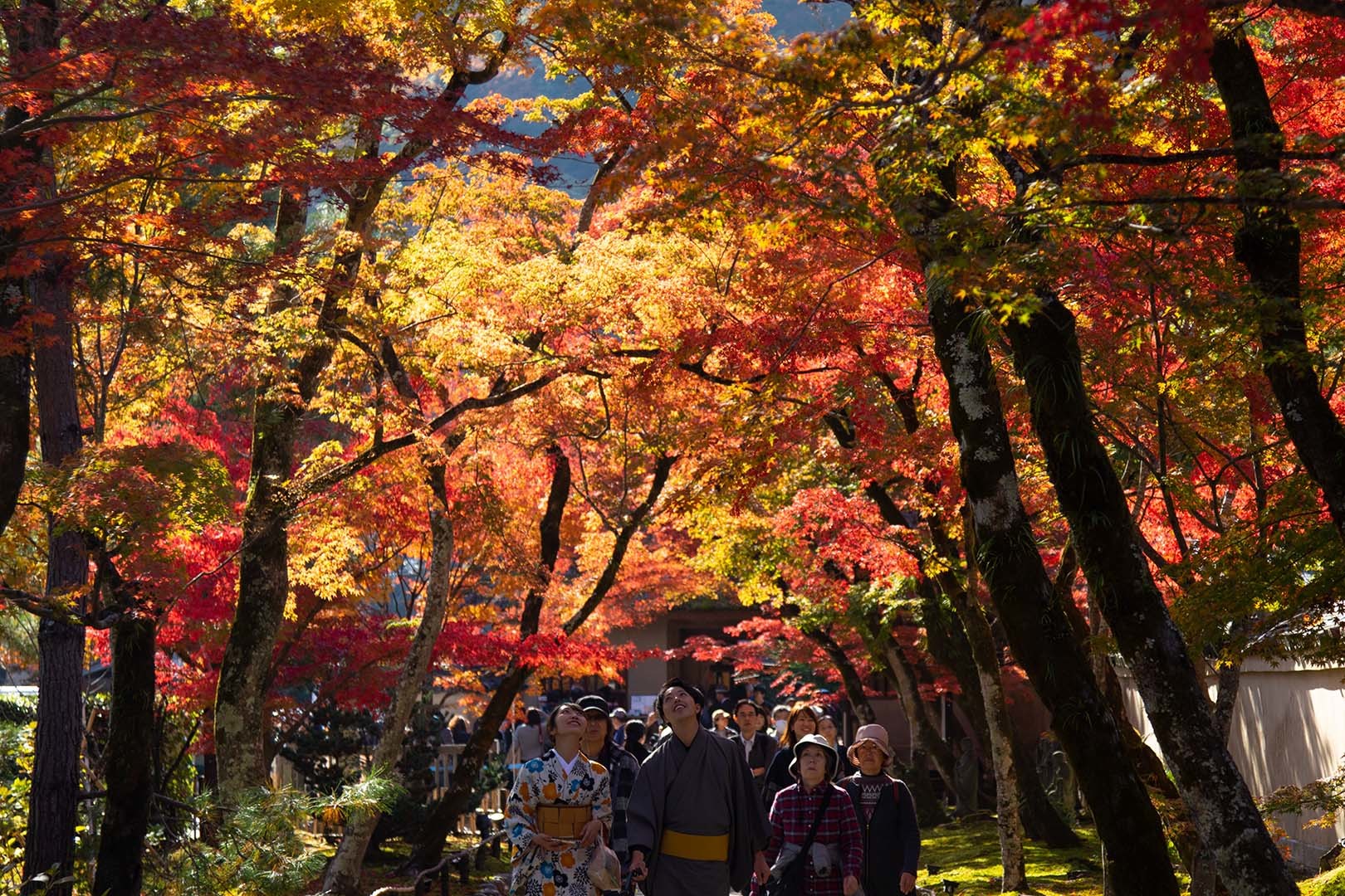 宝厳院_a0003166_17110392.jpg