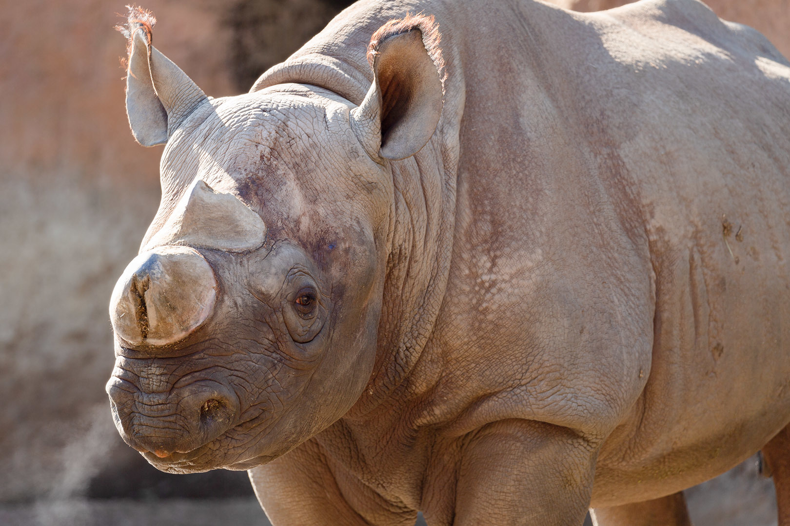 天王寺動物園_a0003166_17125072.jpg
