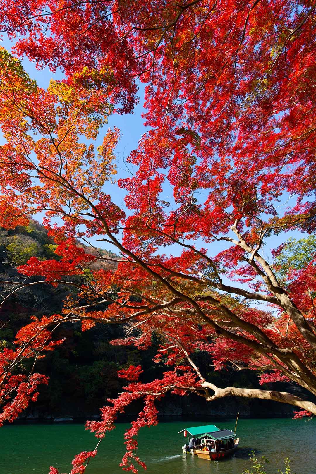 嵐山_a0003166_17141064.jpg