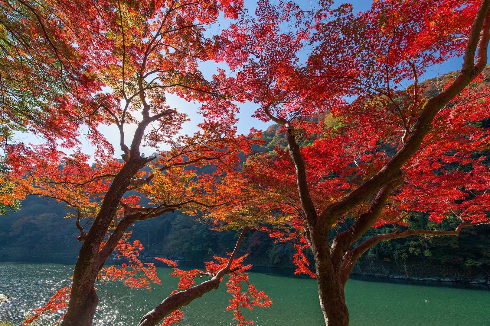 嵐山_a0003166_17141186.jpg