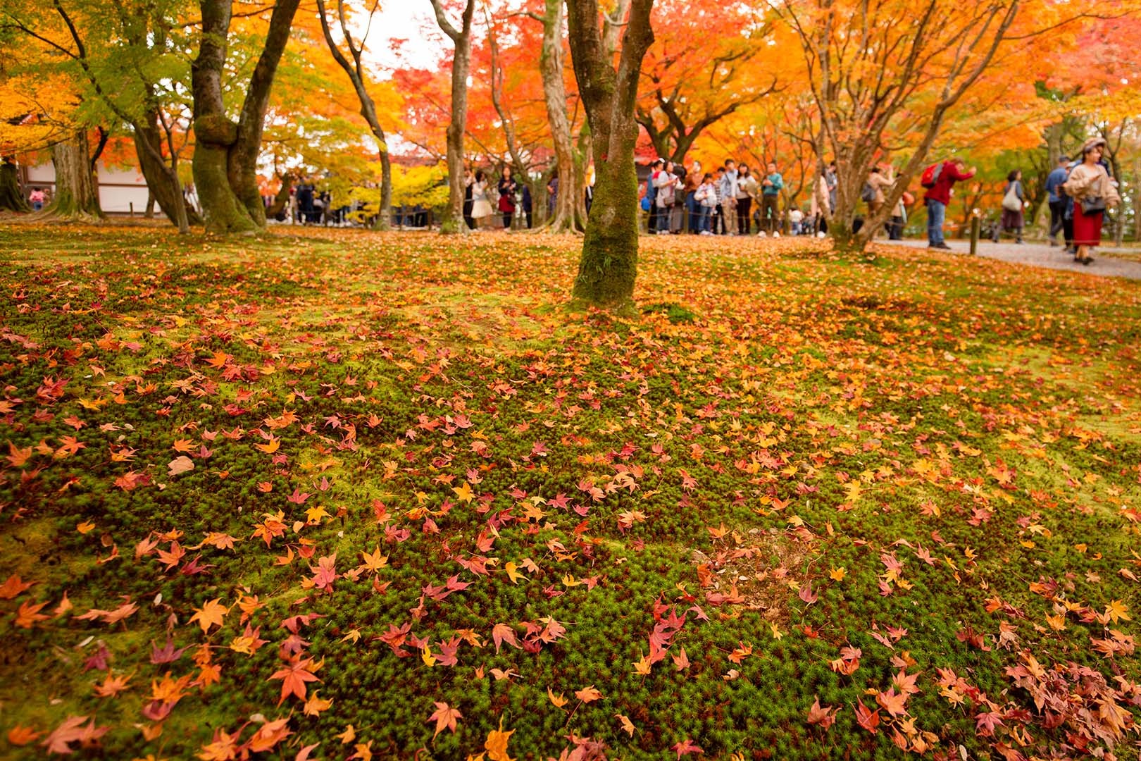 東福寺_a0003166_17160219.jpg