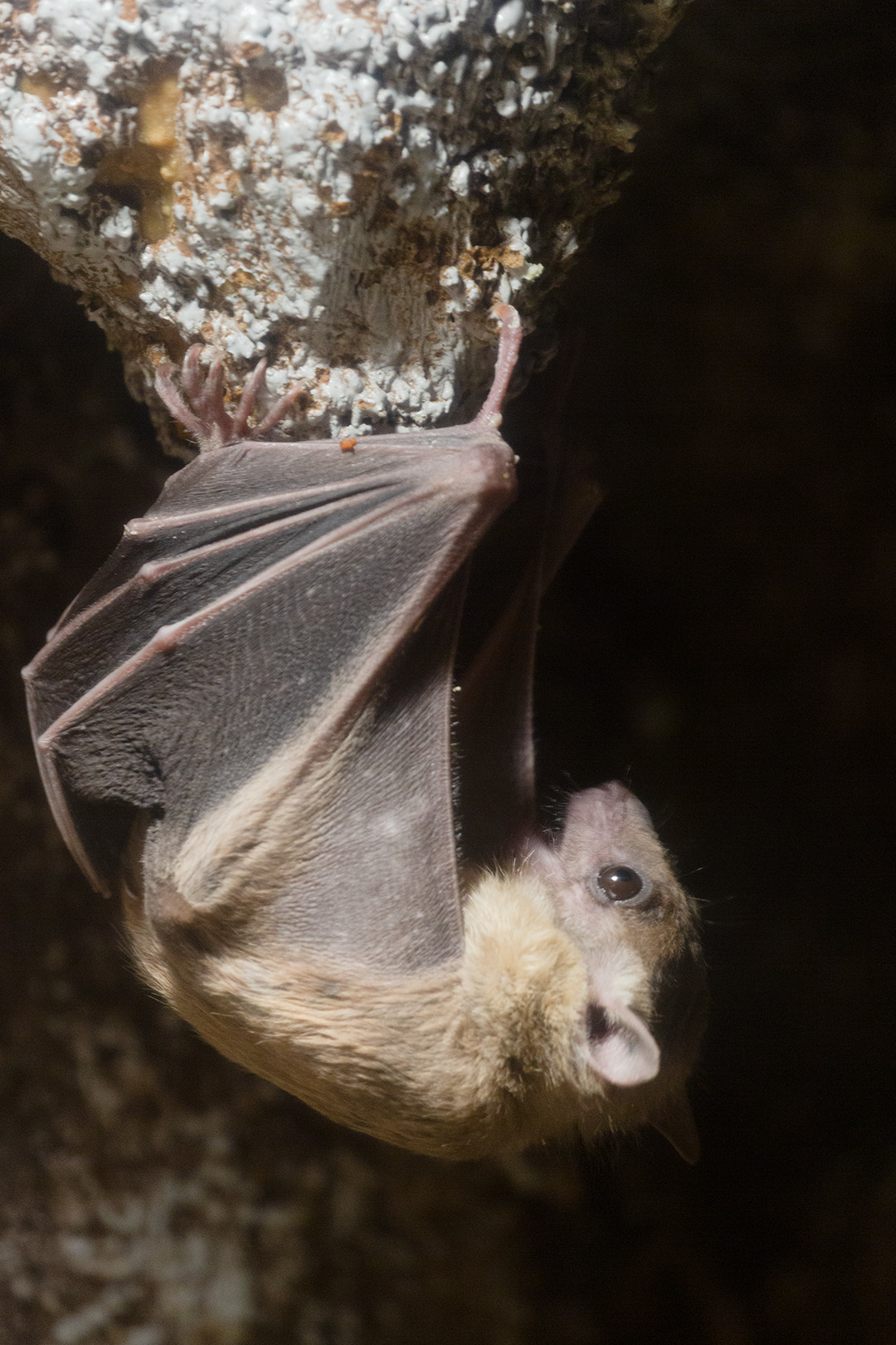 天王寺動物園_a0003166_17164245.jpg