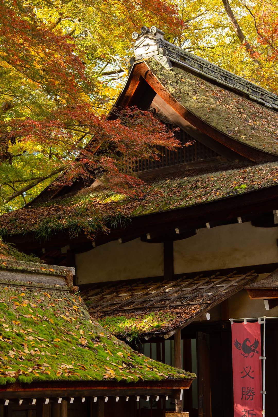 河合神社_a0003166_17183340.jpg
