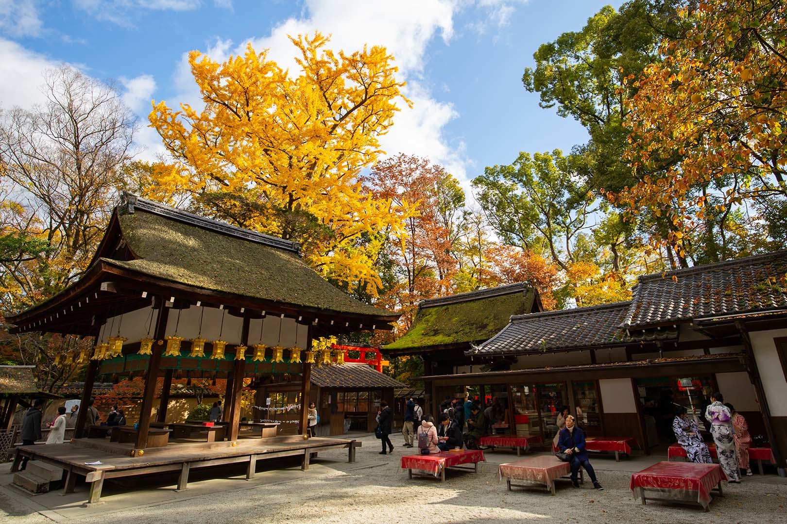 河合神社_a0003166_17183429.jpg