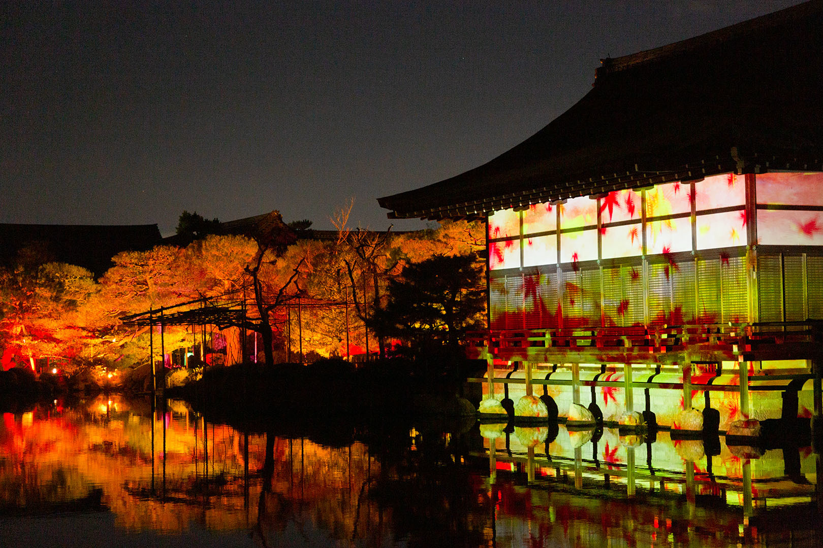 平安神宮 冬のライトアップ_a0003166_17231857.jpg