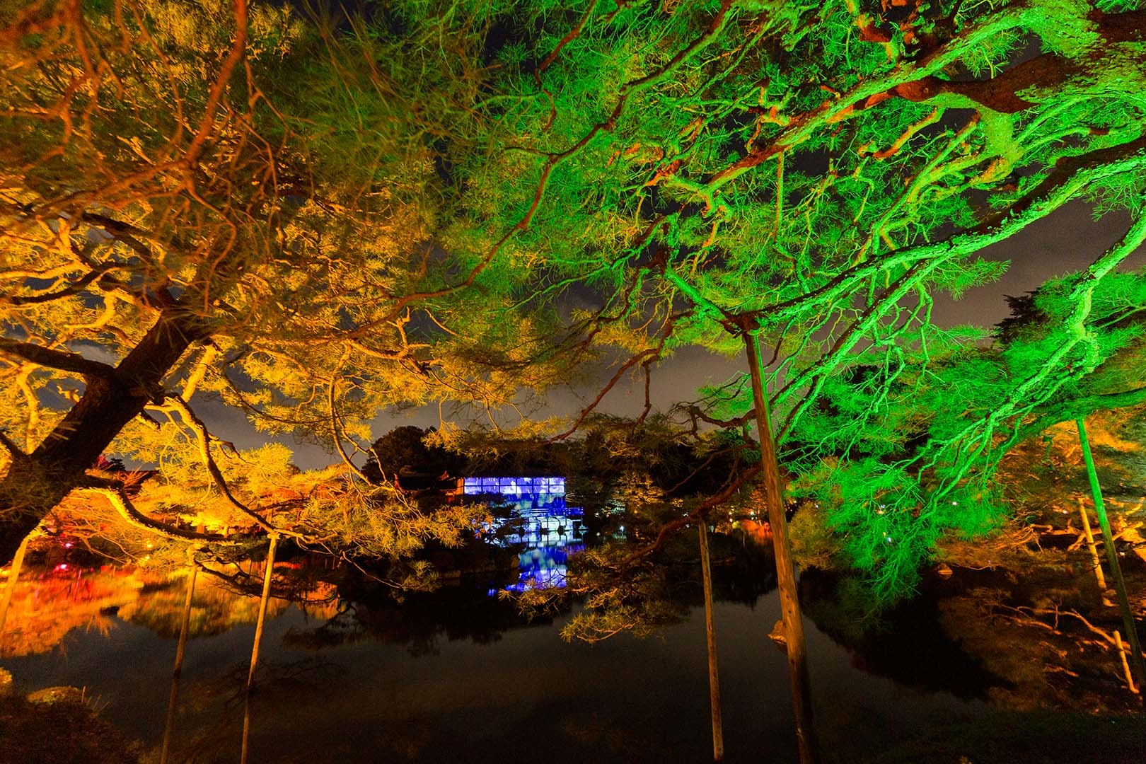 平安神宮 冬のライトアップ_a0003166_17234144.jpg