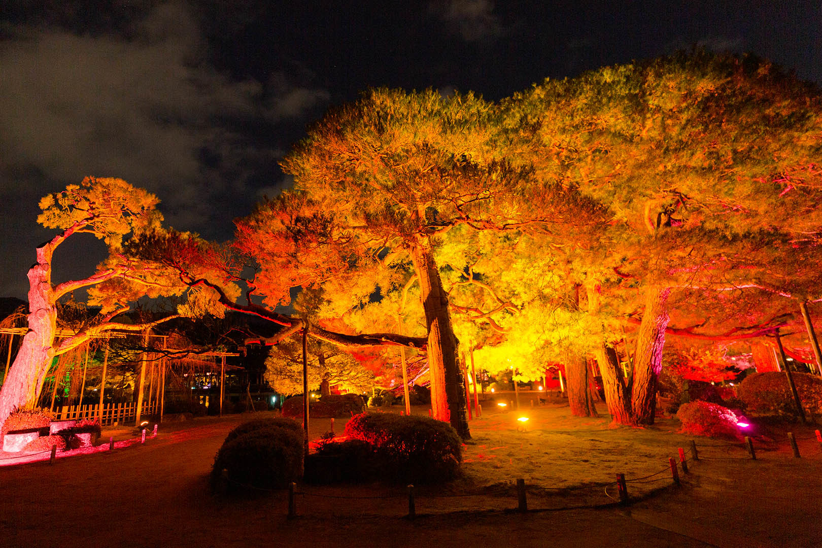 平安神宮 冬のライトアップ_a0003166_17240496.jpg