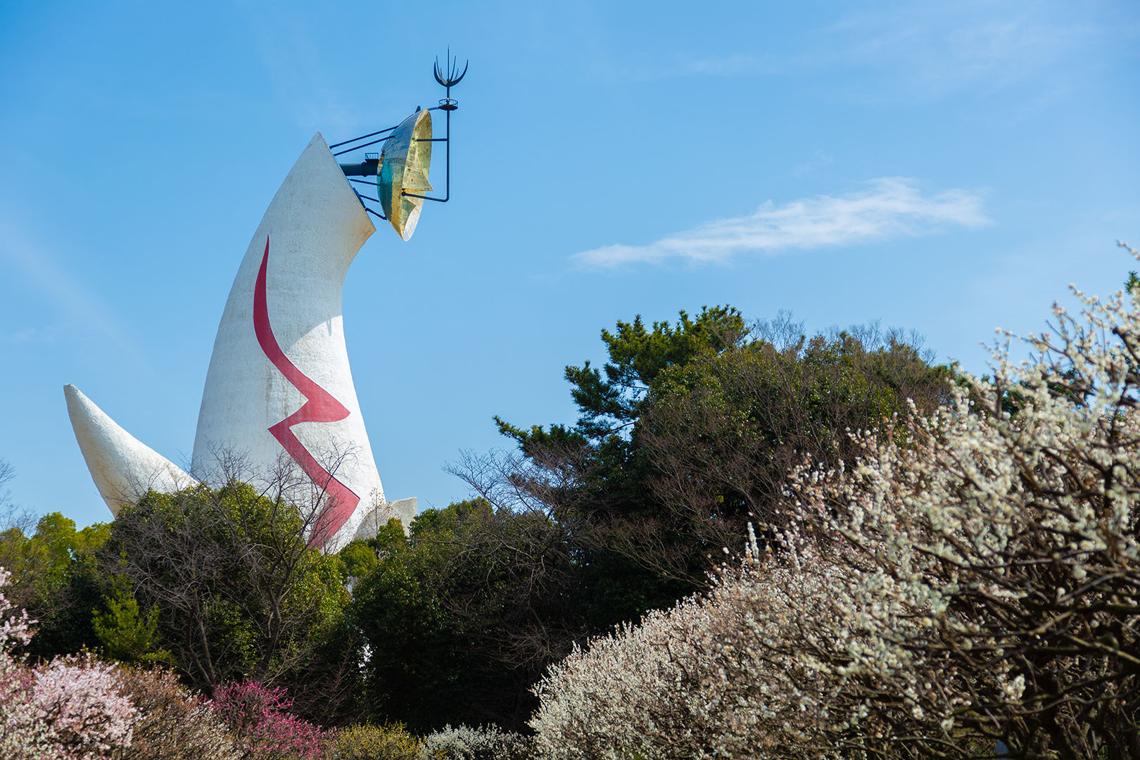 万博公園 梅_a0003166_17384283.jpg