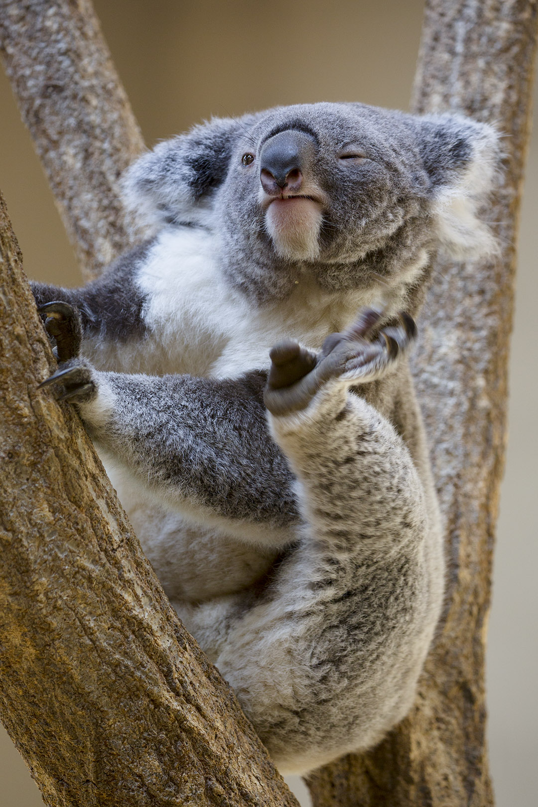 王子動物園_a0003166_17392562.jpg