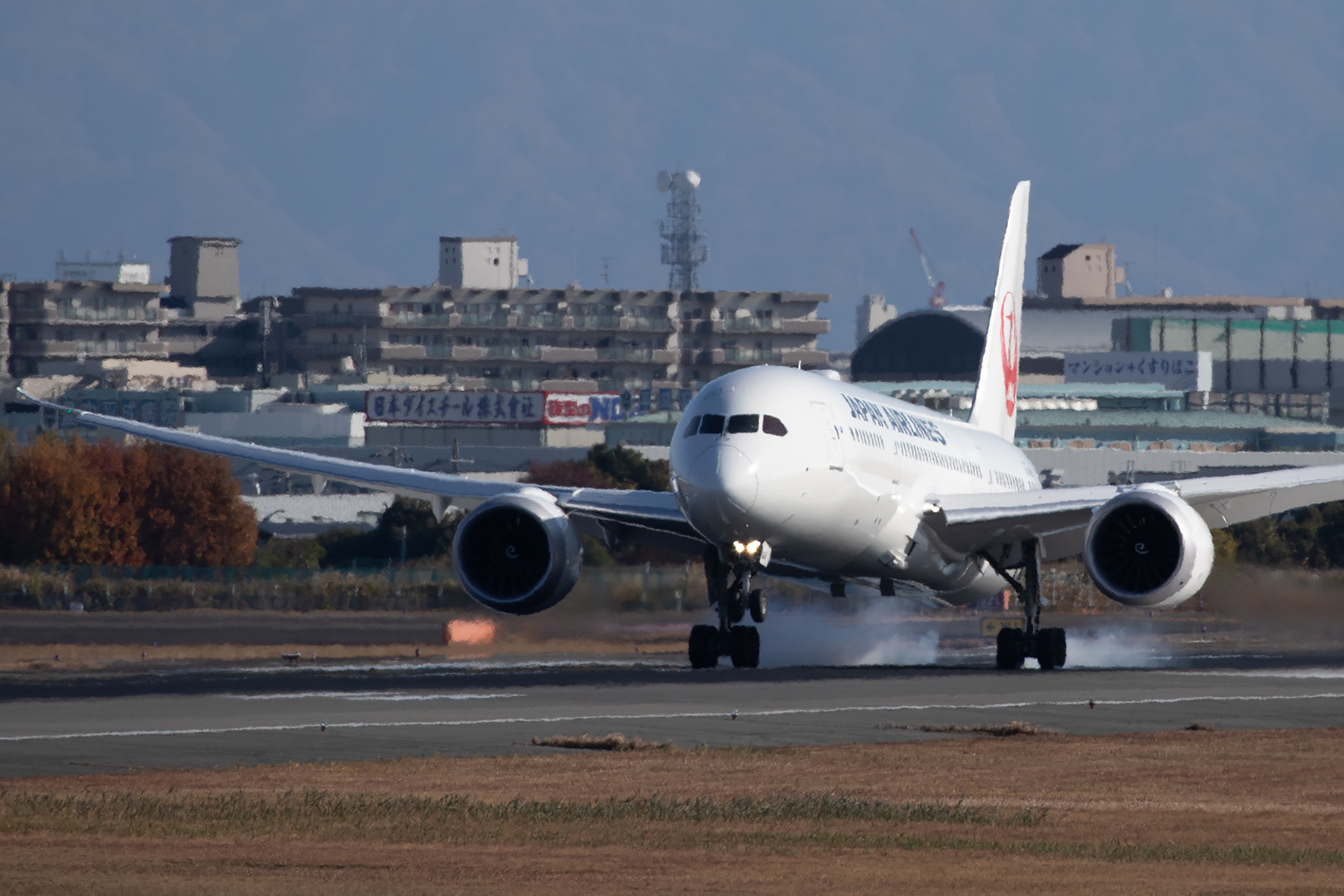 伊丹空港 JAL B787 その１_a0003166_18025058.jpg